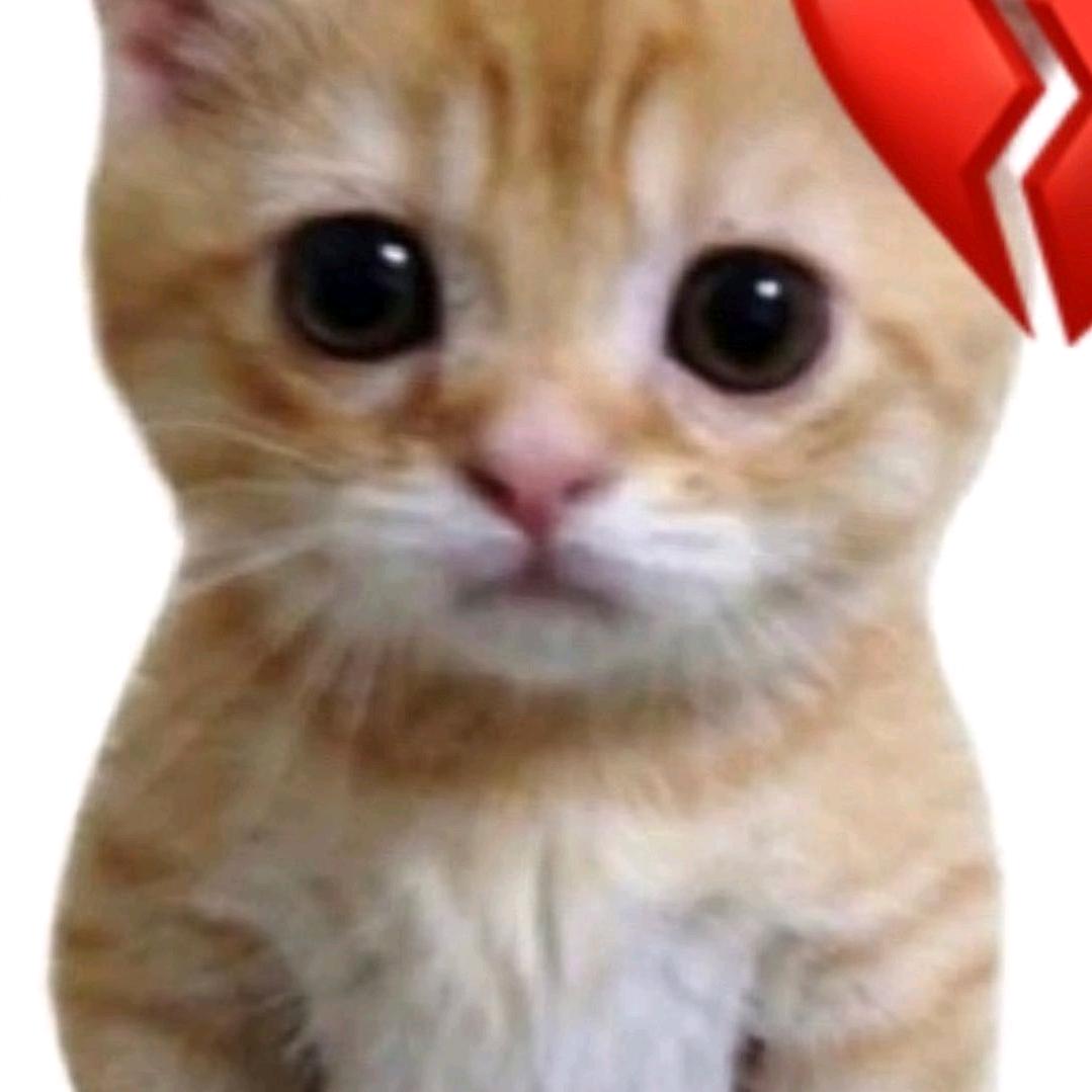 饭饭.（私信被封版）