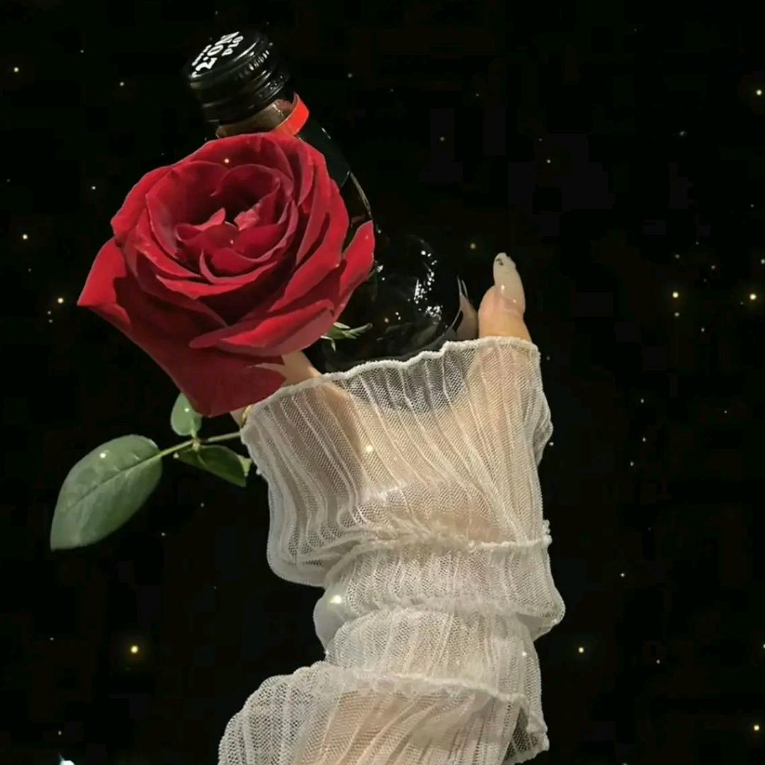 释怀এ᭄²⁰²⁵໑