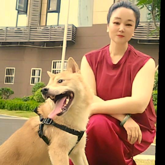 安逸的兔宝