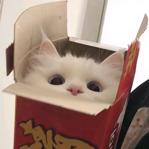 在梦里养了只猫_zZ