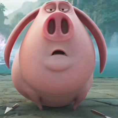 飞天---萌猪🐷🐷🐷！！！