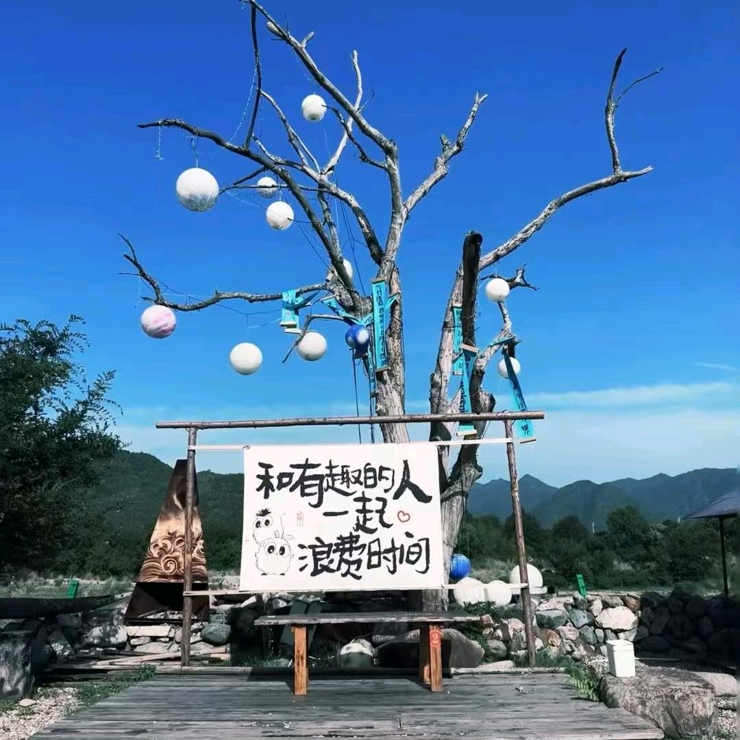 专踹瘸子那条好腿