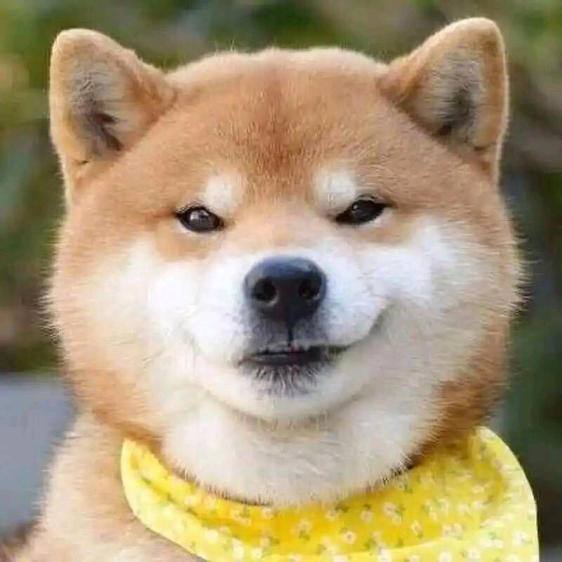 乔三岁
