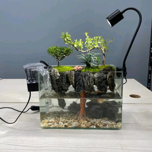 喀什蓝鲸岛·水陆造景生态馆馆长