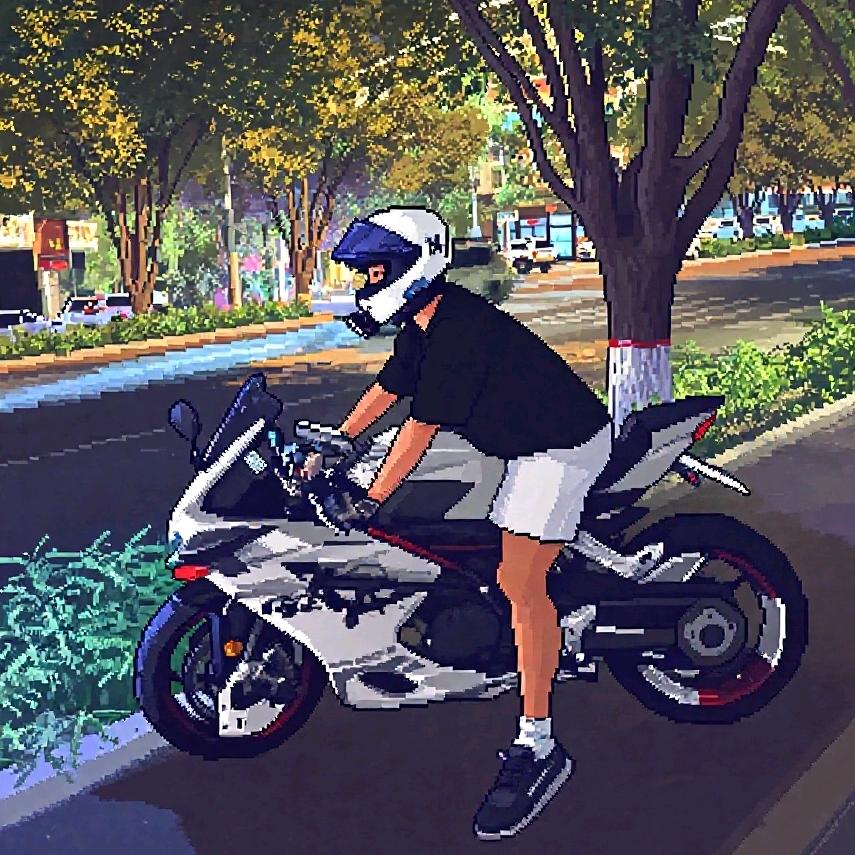 不会骑仿赛