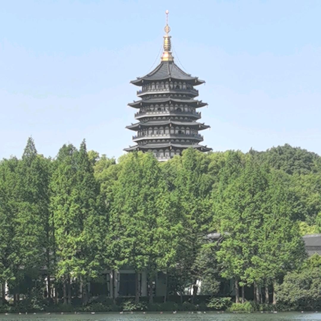 心若止水