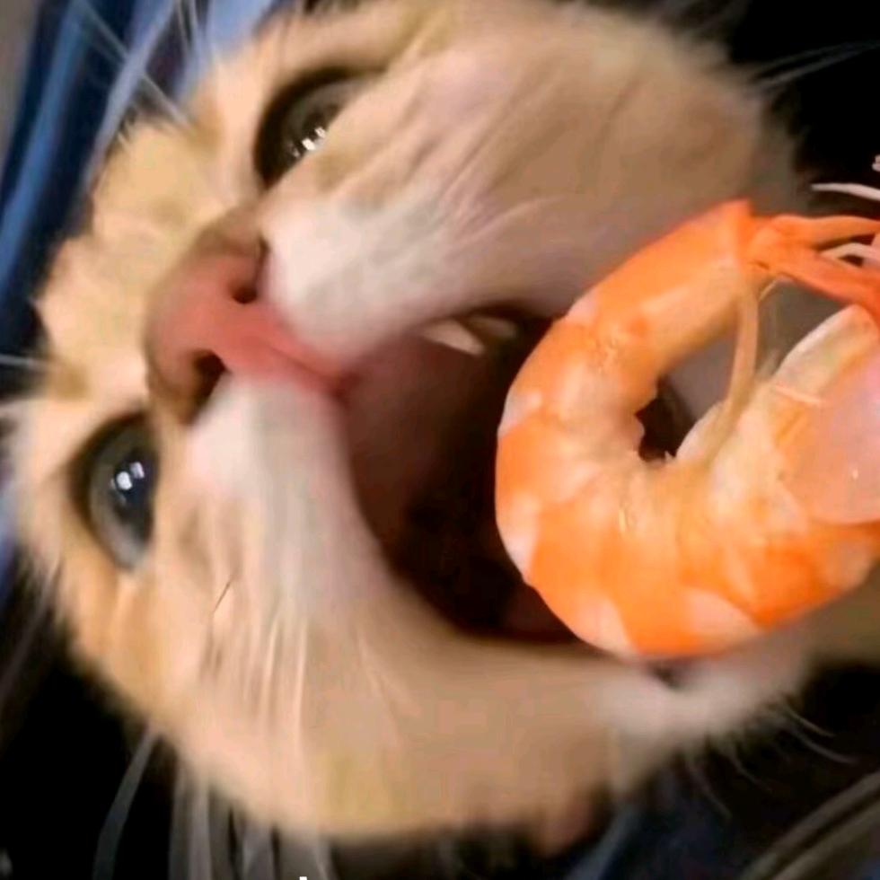 L&*