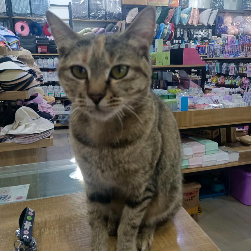 💞好ᨶ႒ᩚ运ᥫᩣ໌້ᮨ加满🍒靓坊饰品