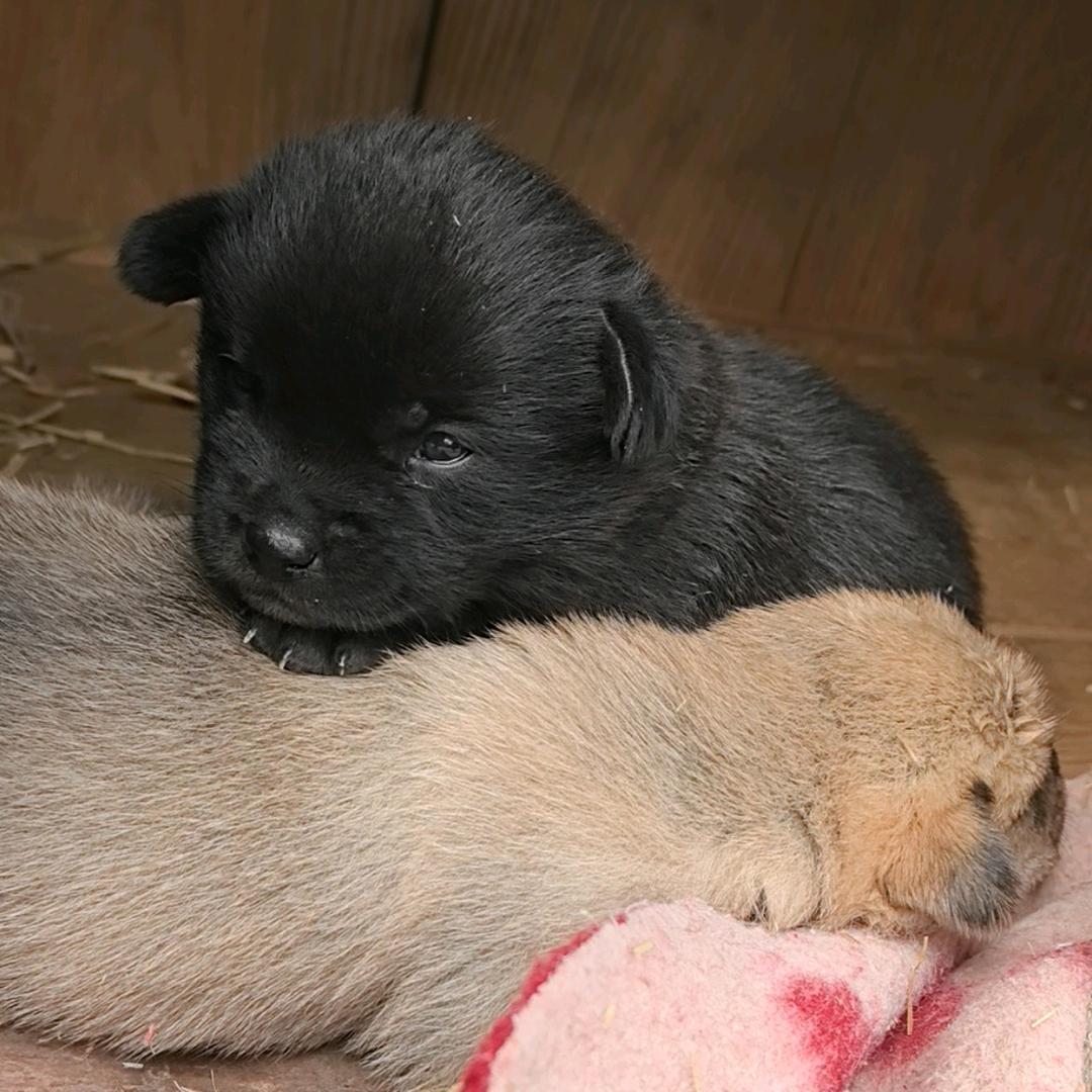 冬瓜瓜西瓜瓜成长日常