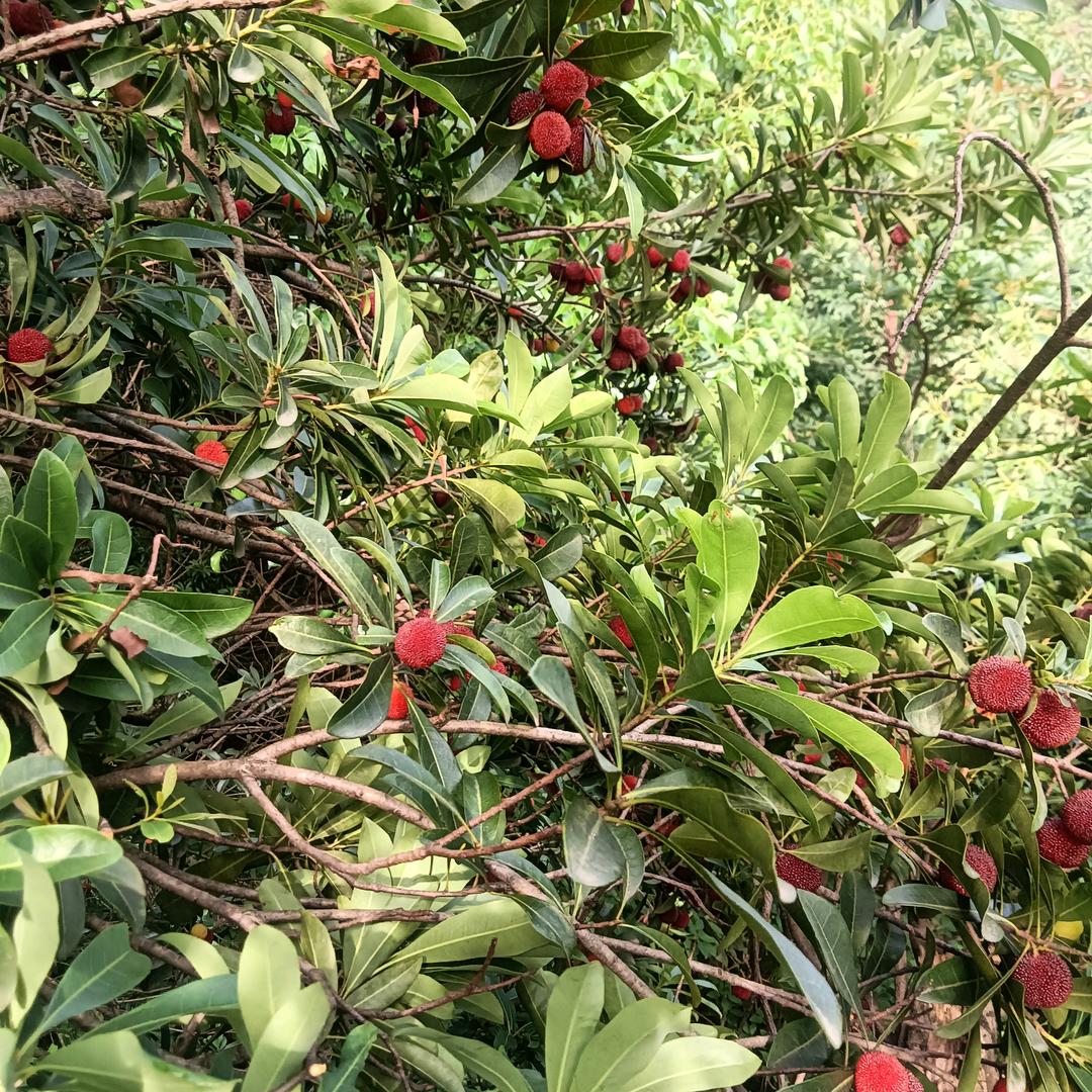 寻找未来的她