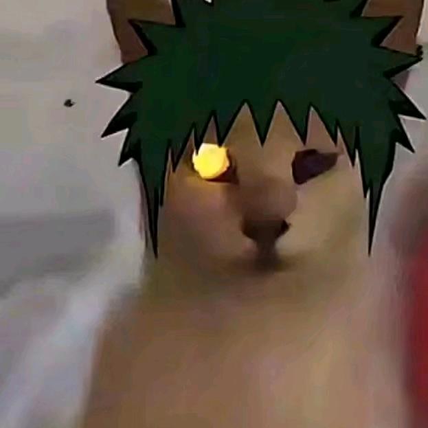 明天的报纸上刊登着我死去的消息