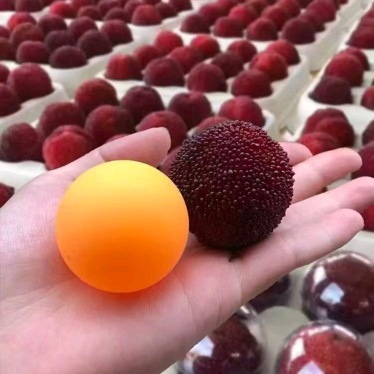 邱青松   仙居县誉城农场