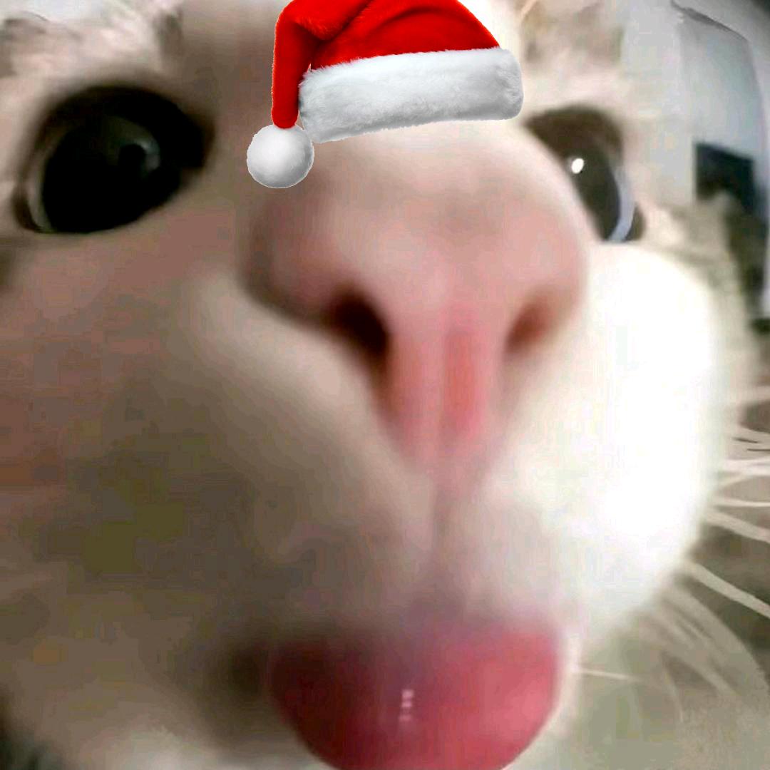 阿鹊（约稿看简介