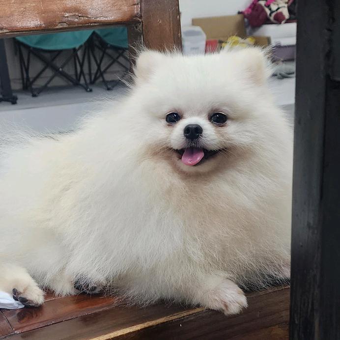 DAL热梦骑行营地