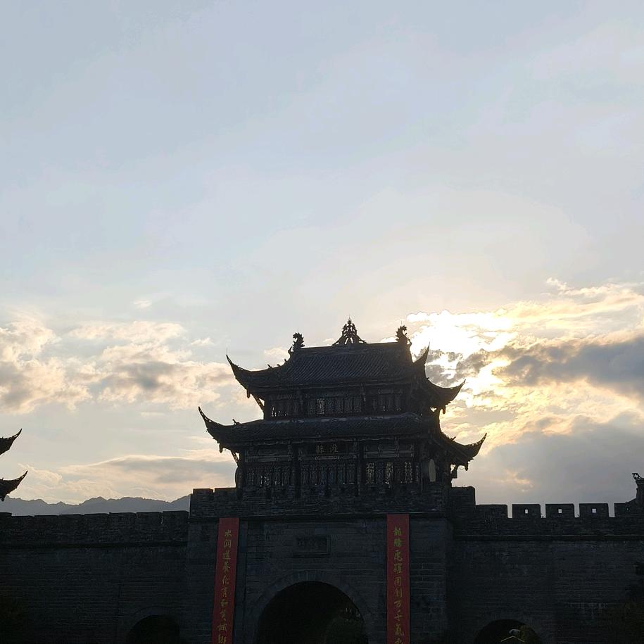 木昜楊