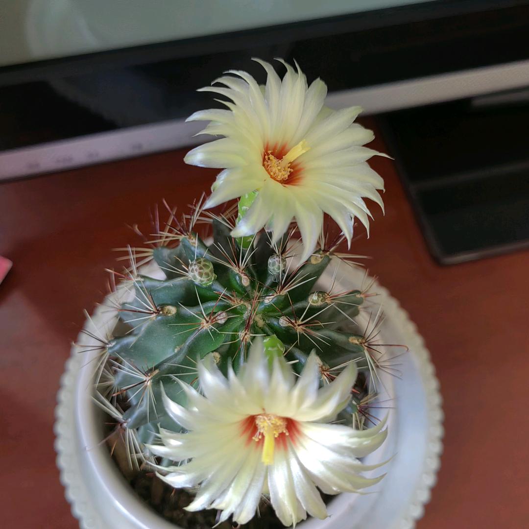 我就是我
