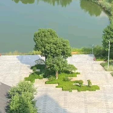 随缘🍃🌾