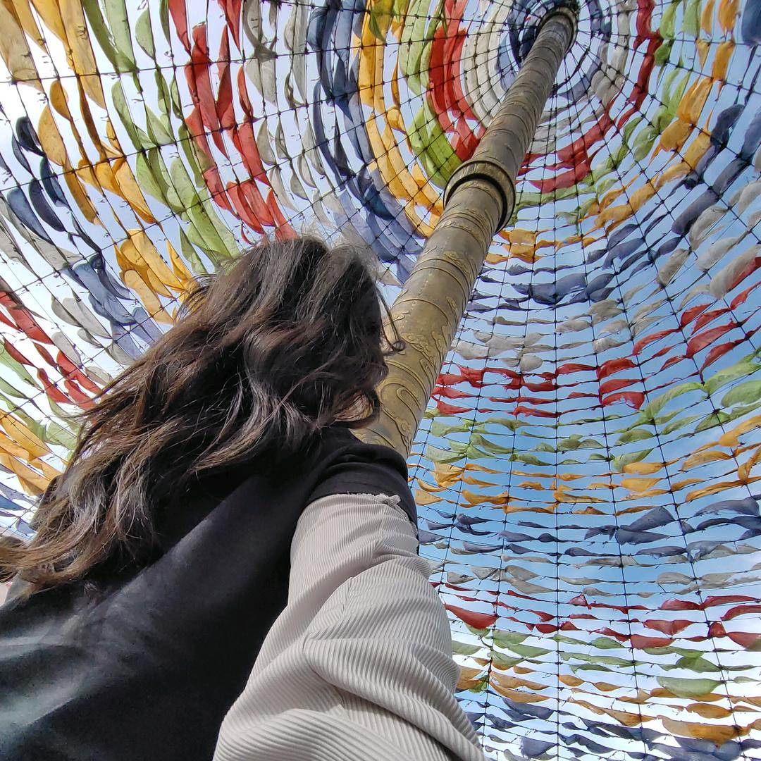 鱼皮不吃朱（PPZ¹⁰³¹）🌙