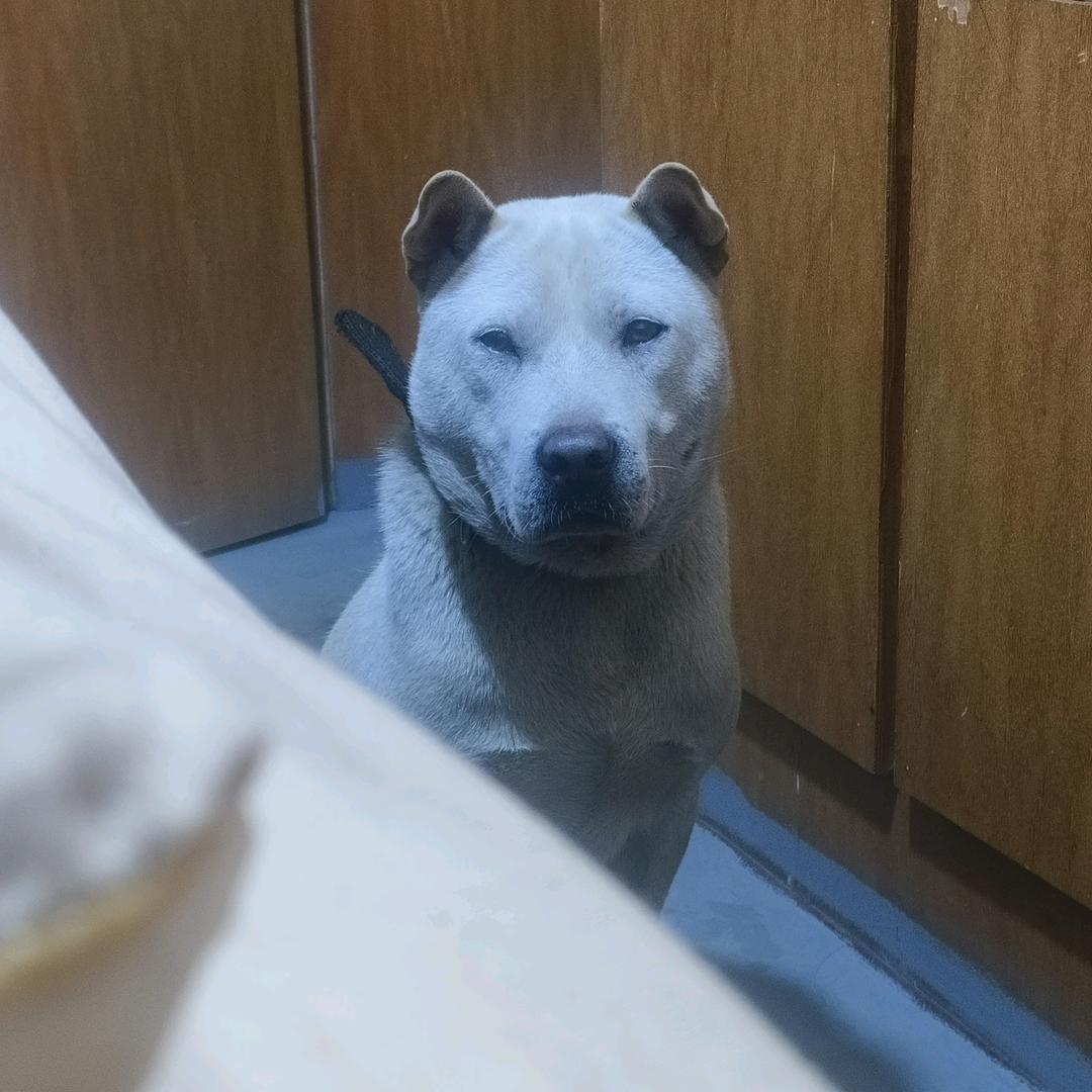 广西土猎