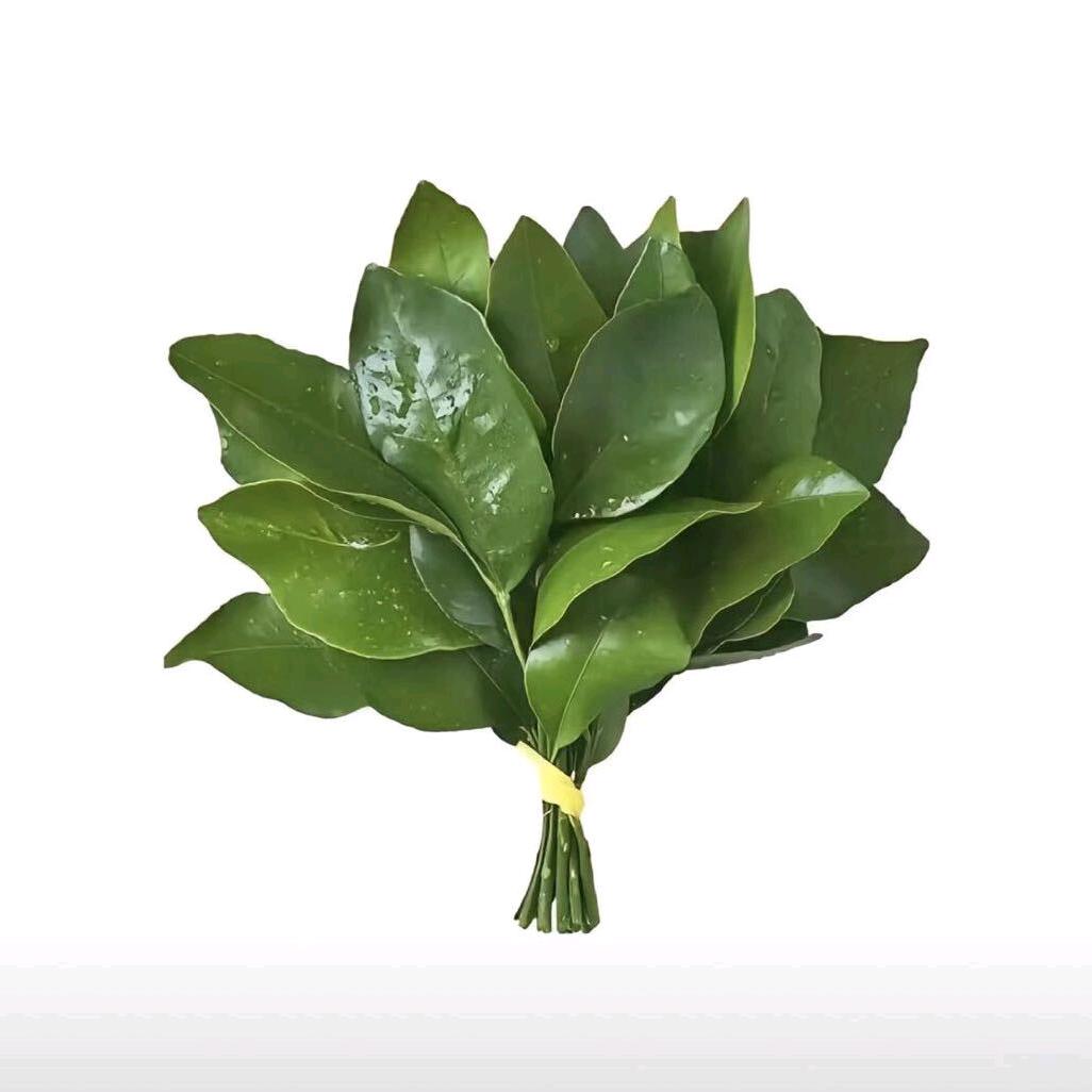 束