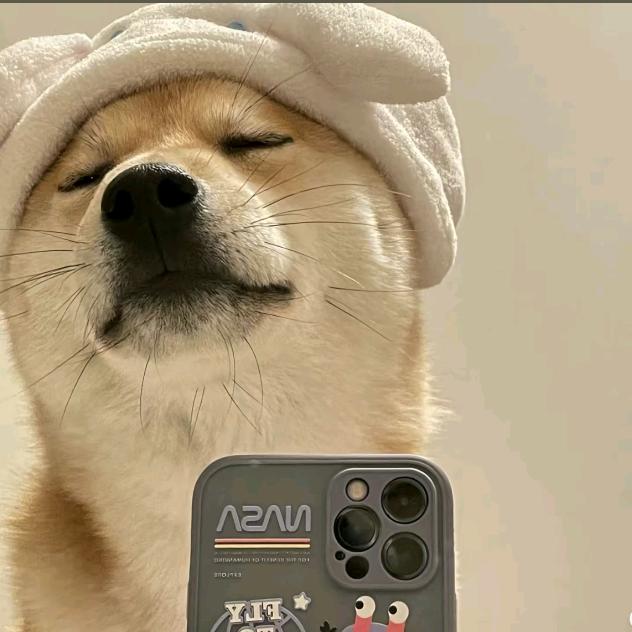 秋夕.