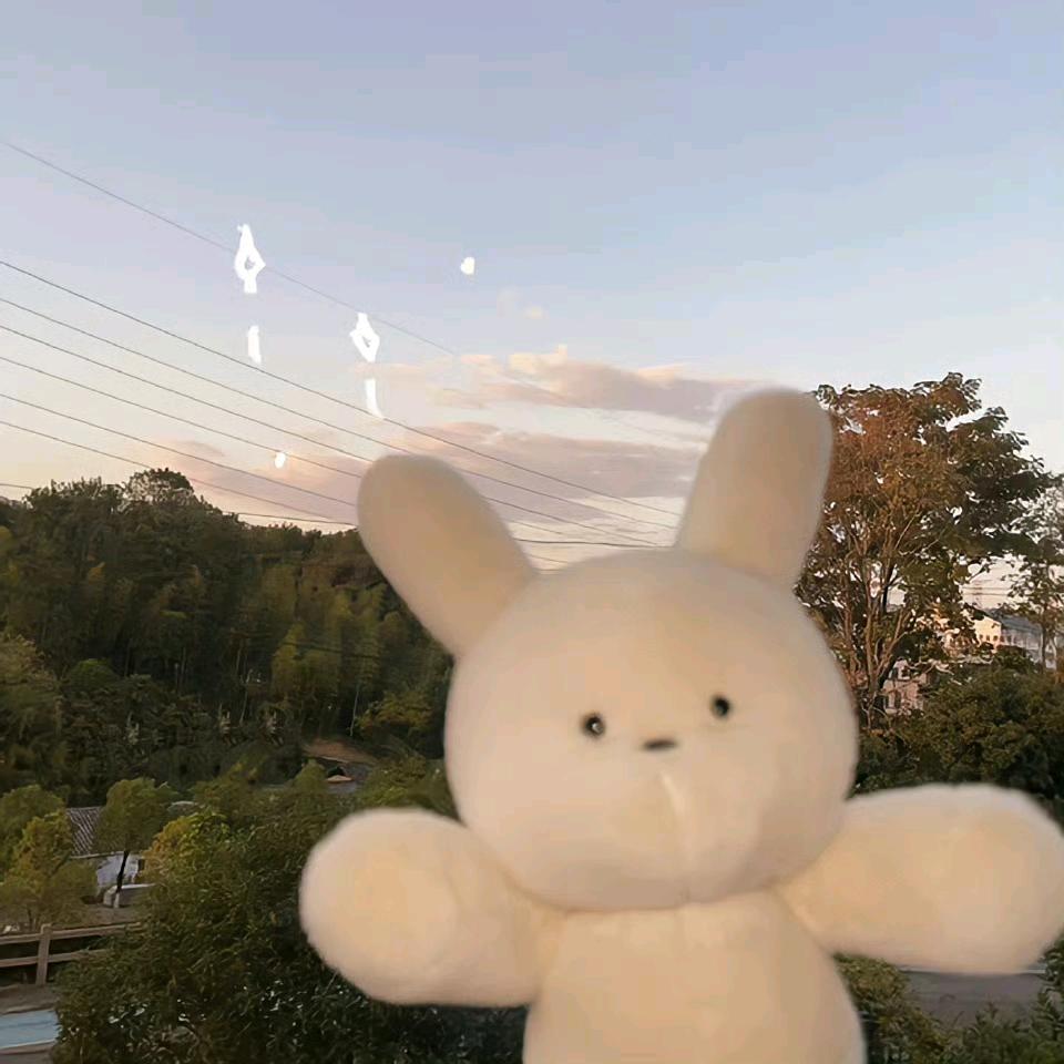 陈鱼
