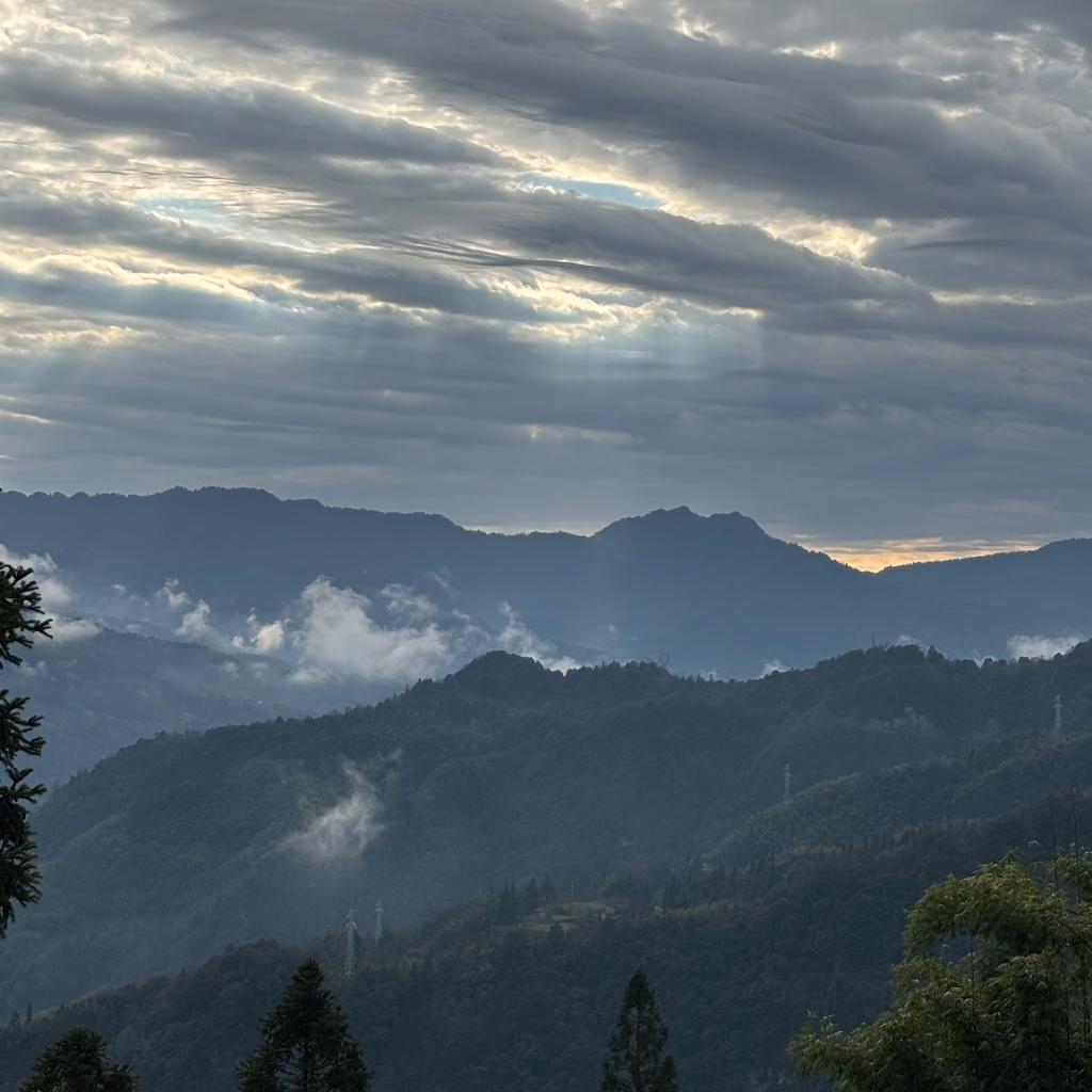 ල᭄醉清风ꦿ᭄࿐