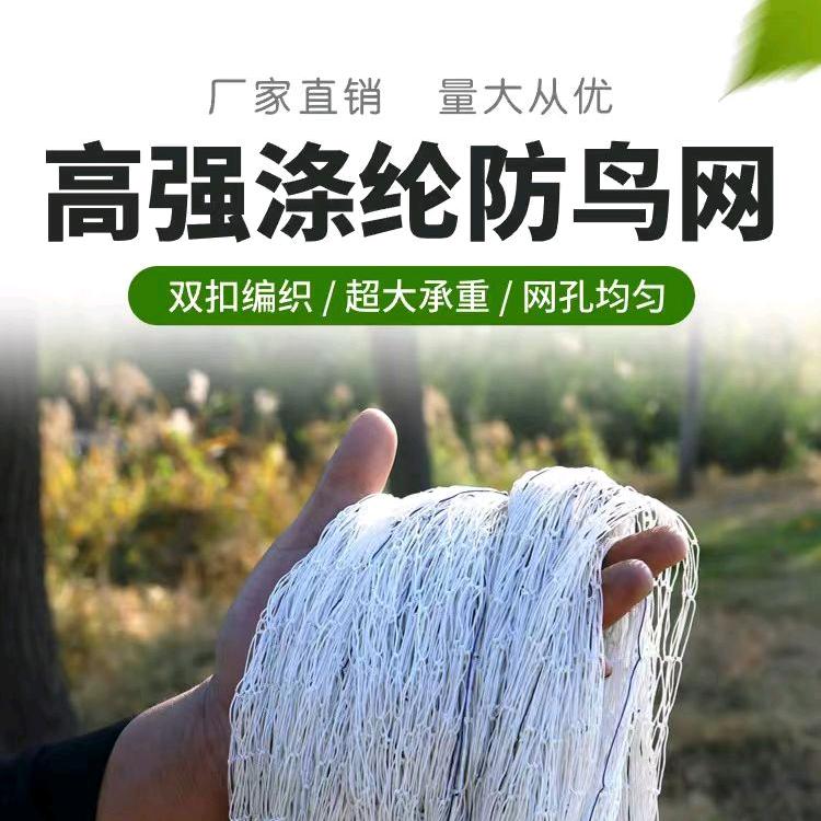 防鸟网（山东网具）