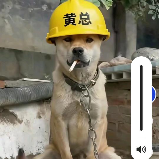 专业对数