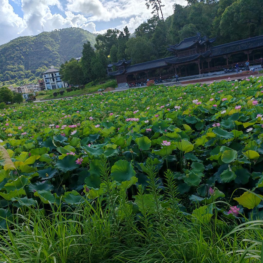 心态好，一切都好，时间会说真话（单）