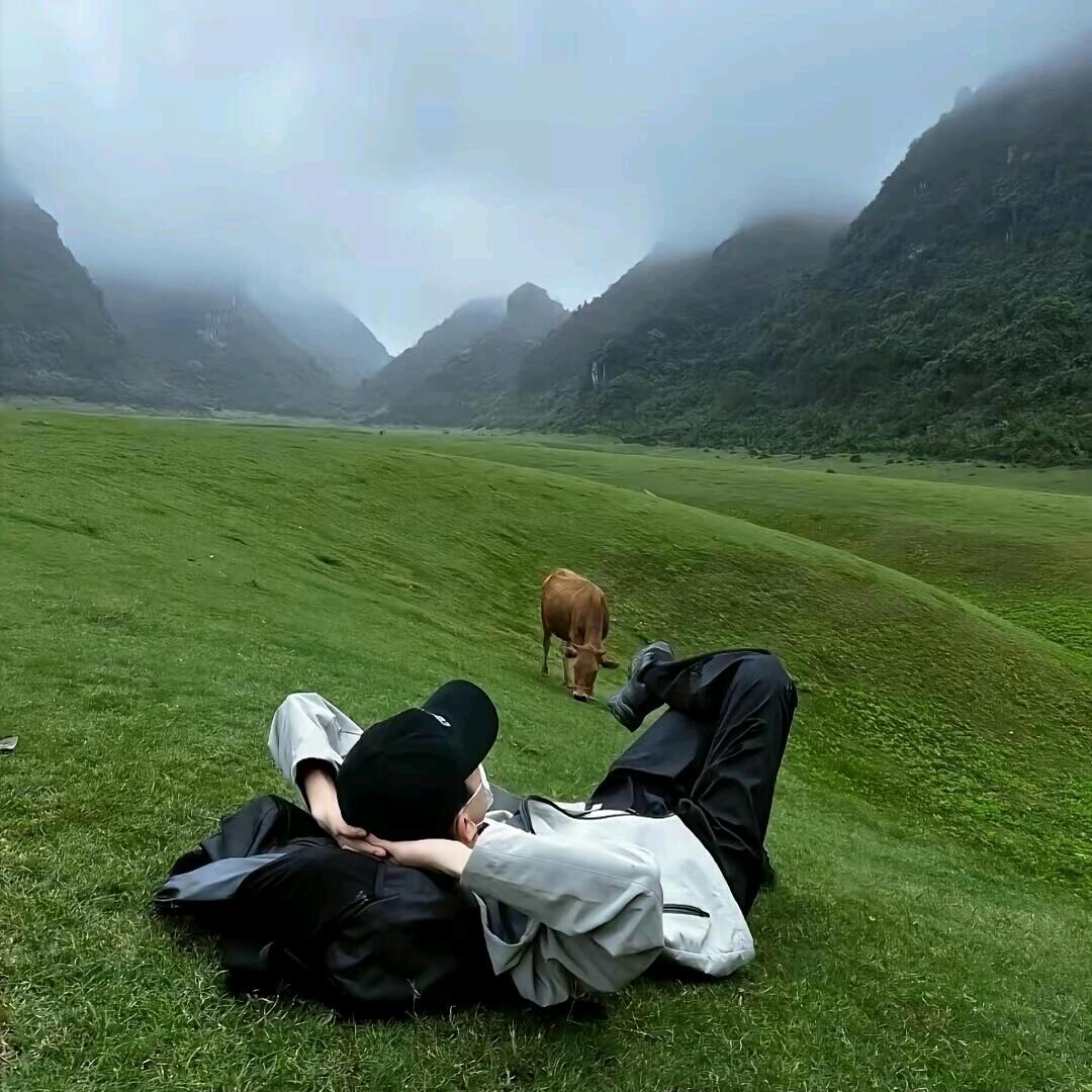 酒窝盛月光