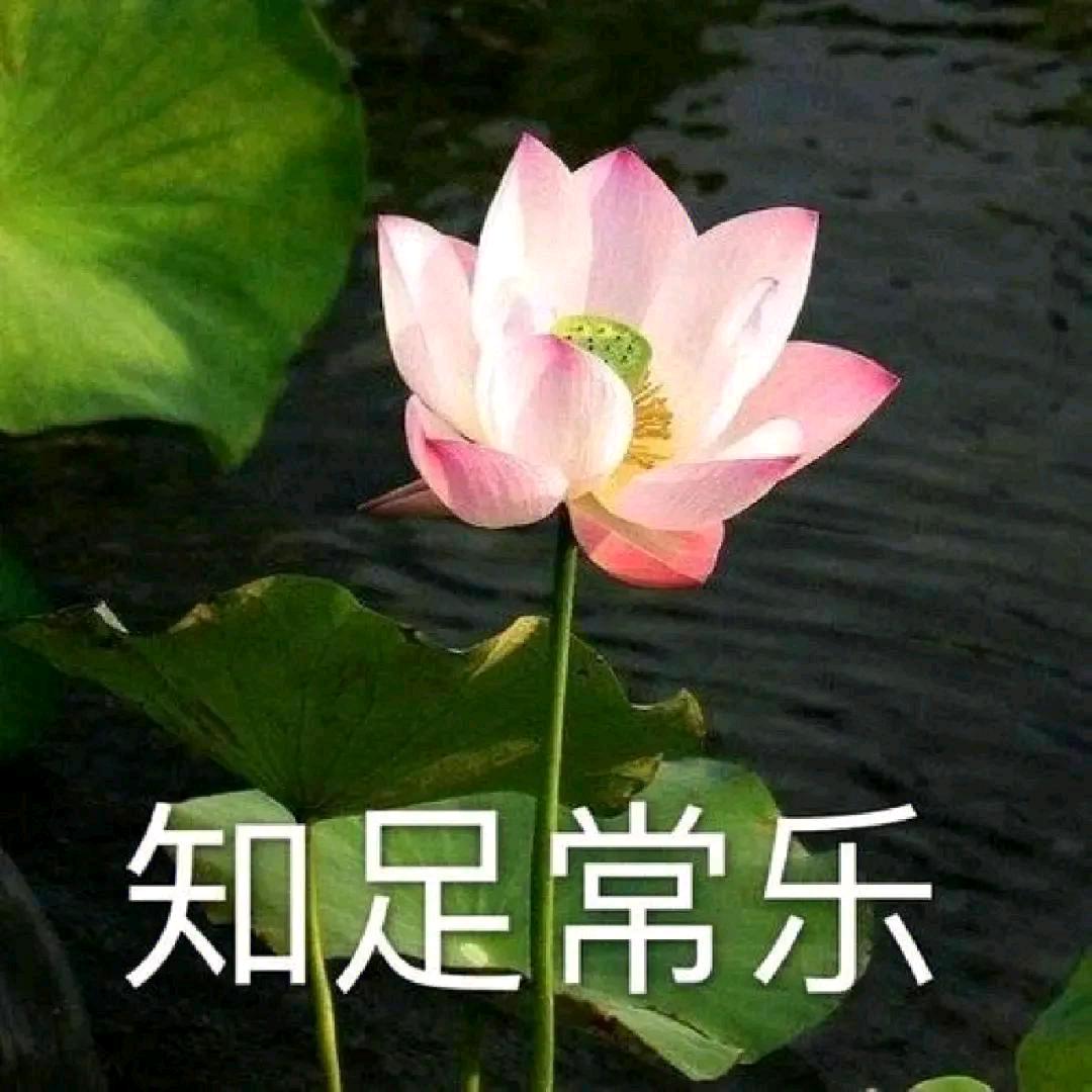 常乐“