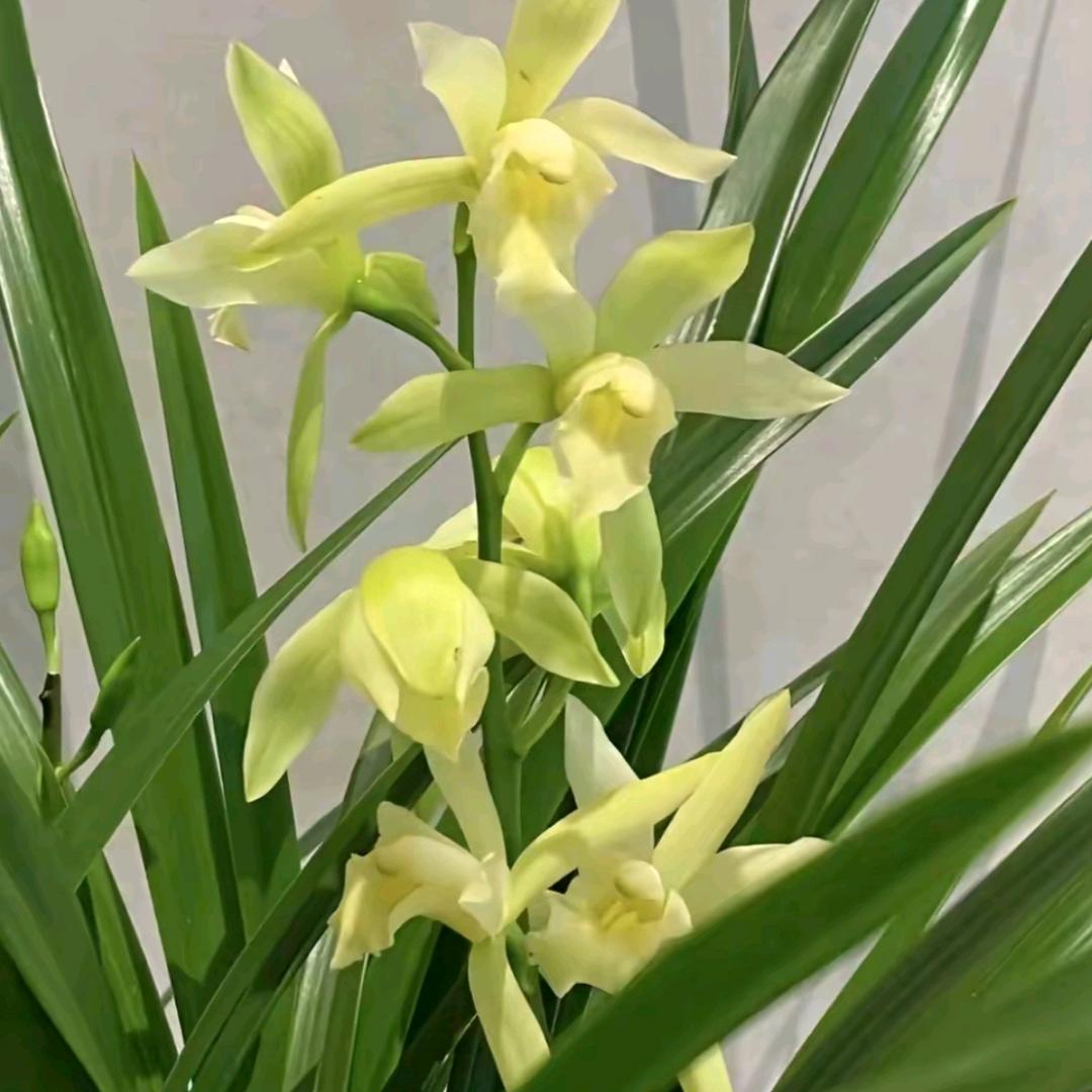 忘忧阁男士美容