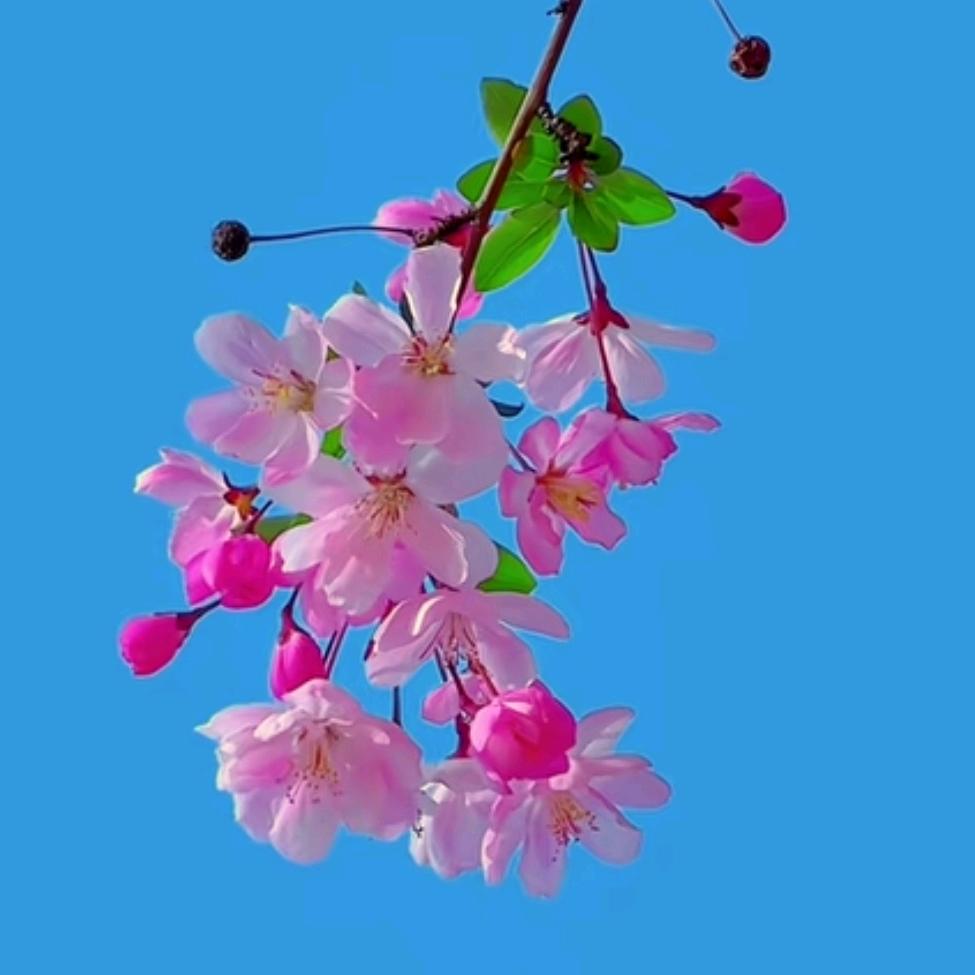 懂你