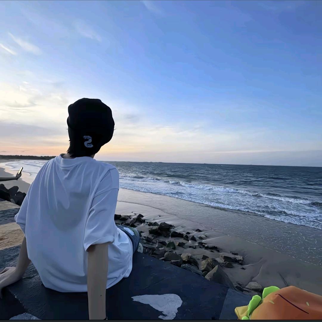 ♞蓝桉