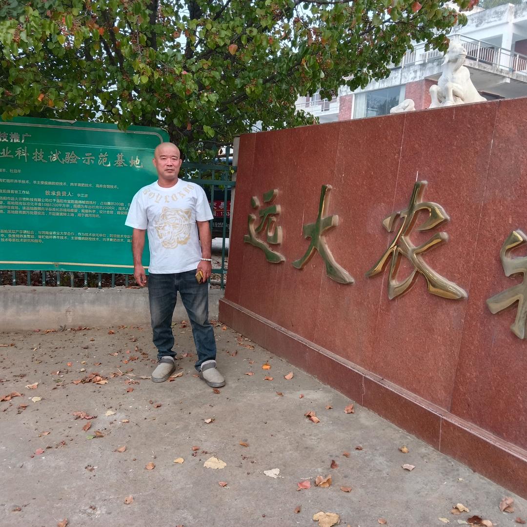 张氏草业