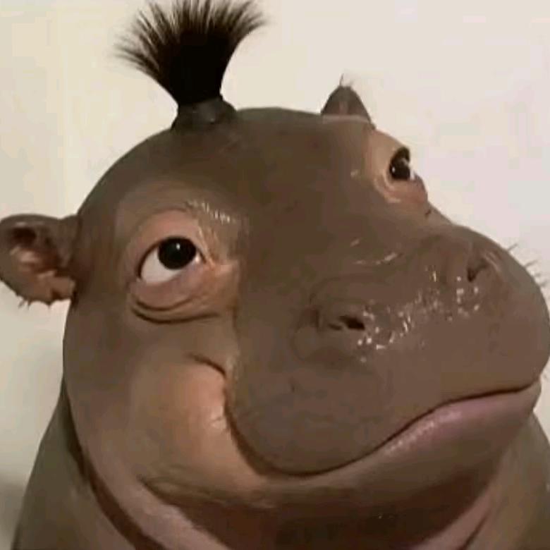 2397