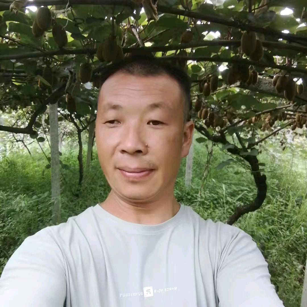 移动