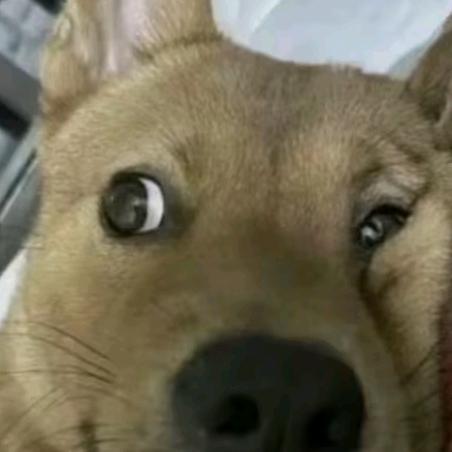 螺旋飞天的钢板