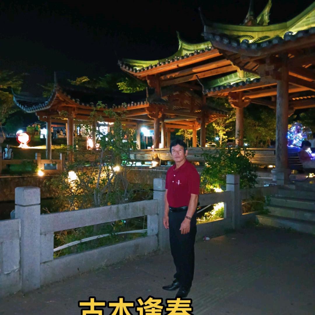 古木逢春