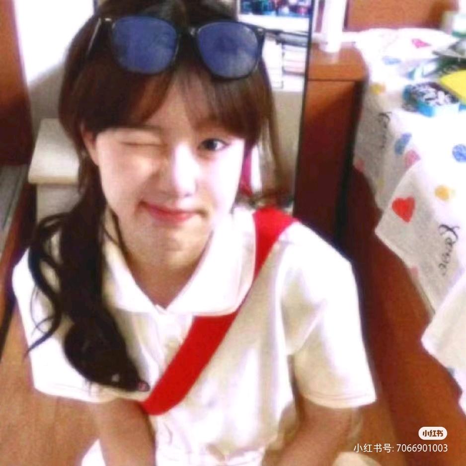 懒包日记（打卡十五天版