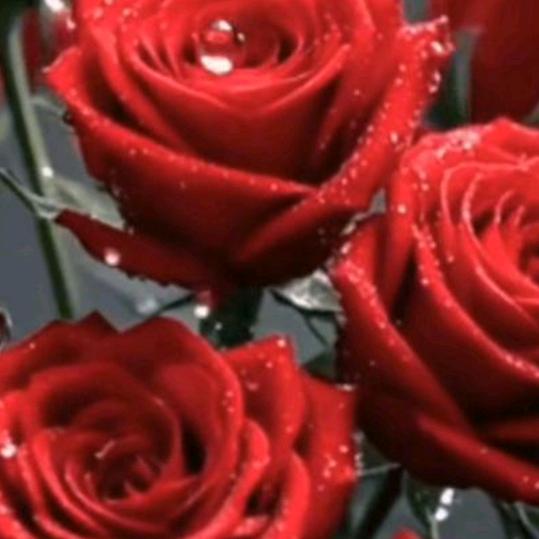 开心快乐的兵妈