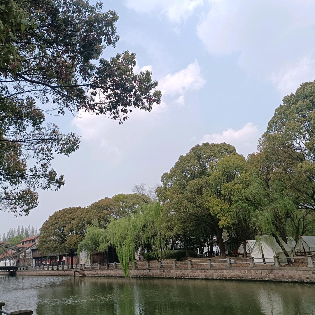 随感而发Vlog
