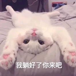 未来再见