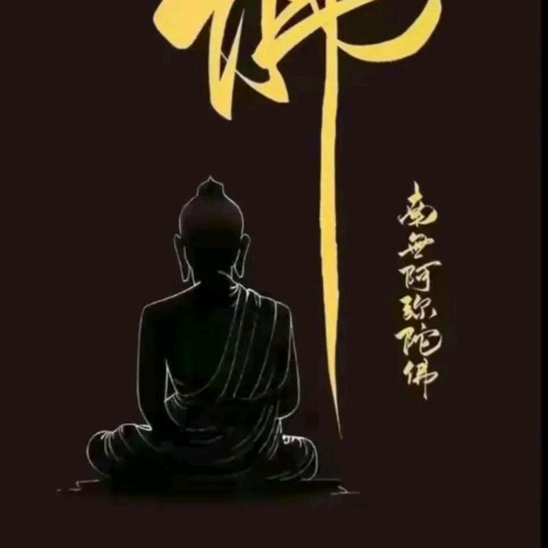 秋枫落叶🍂