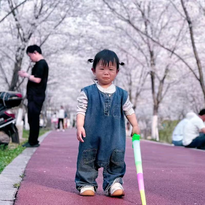 秋叶飘零