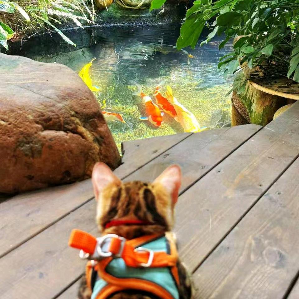 海与迟