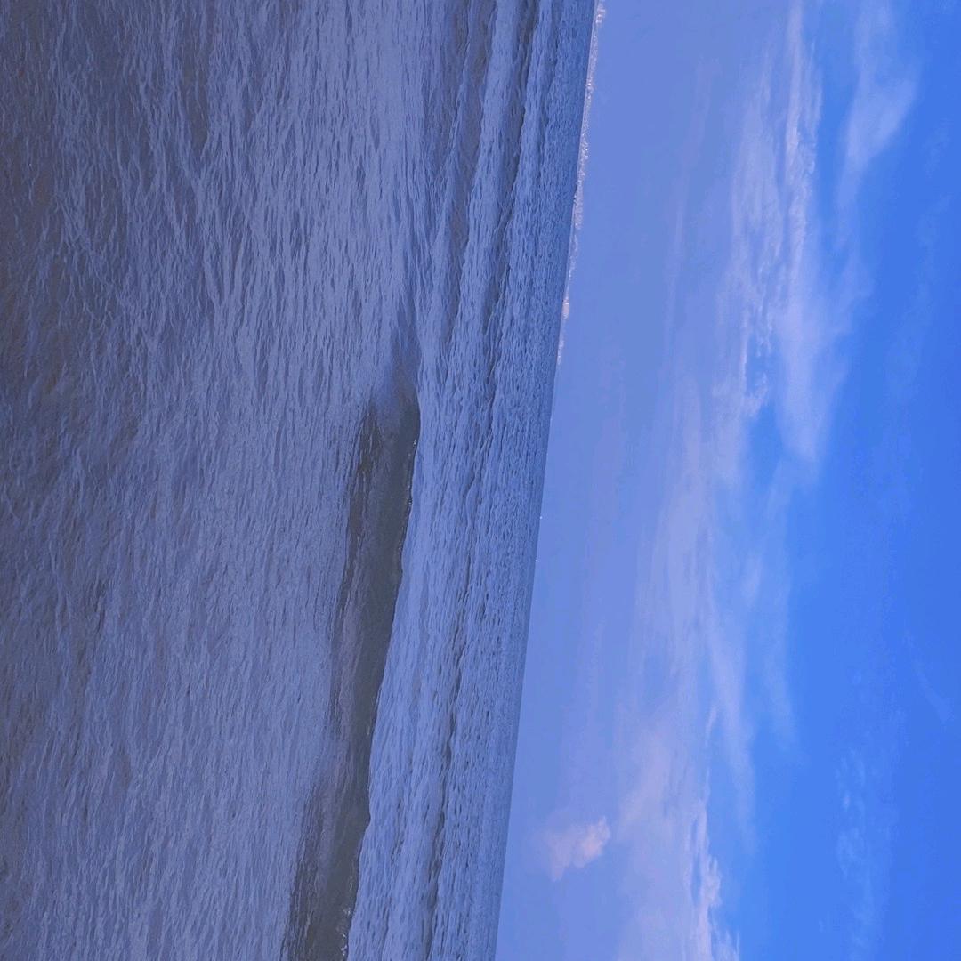 柠檬