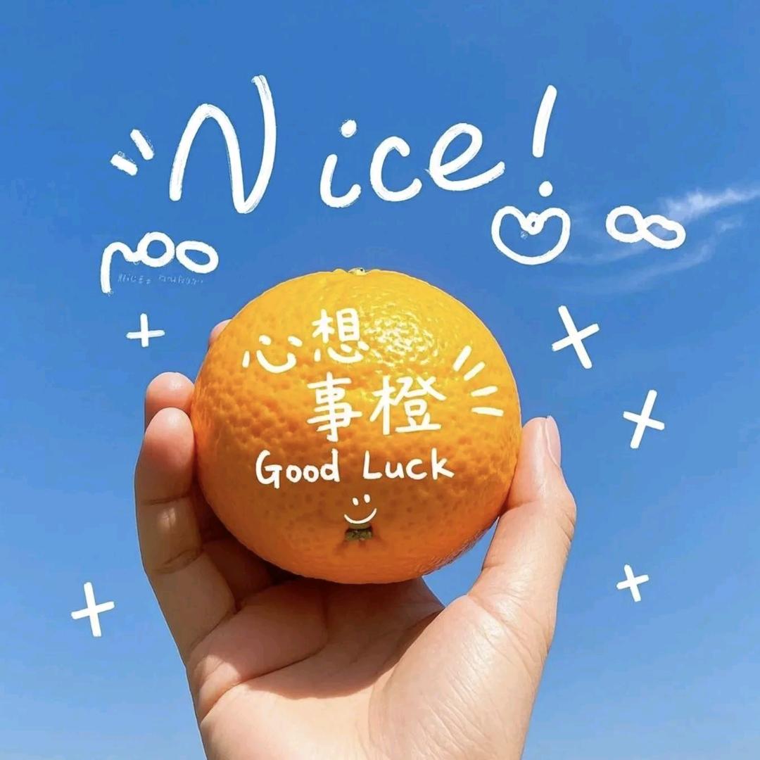 撞个好运