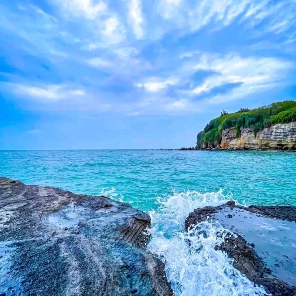 游子